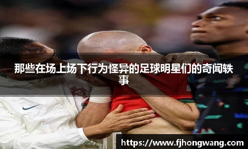 星空·综合体育官方网站