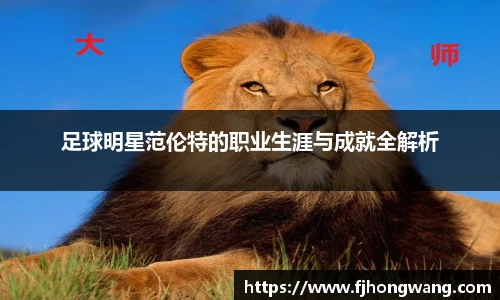 星空·综合体育官方网站